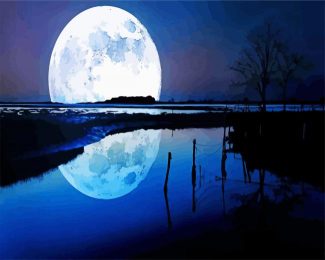 Moonlight Reflection diamond painting