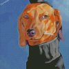 Mr dachshund Dog diamond paintings