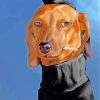 Mr dachshund Dog diamond painting