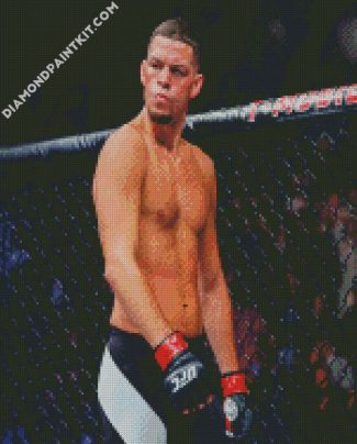 Nate Diaz diamond paintings