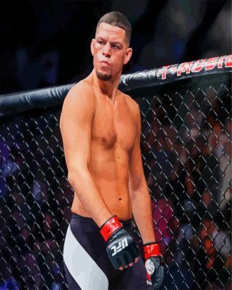 Nate Diaz diamond painting