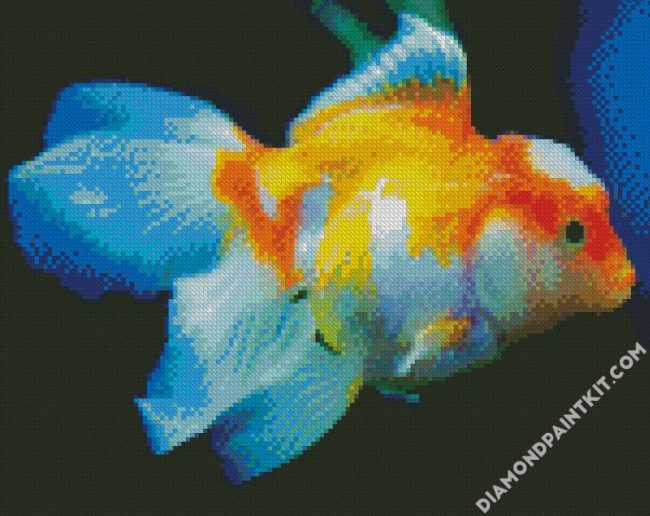 Orange And White Fish diamond painting