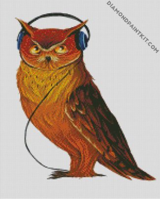 Owl With headphones diamond painting