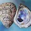 Oyster Shells diamond painting