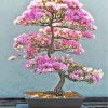 Pink Bonsai diamond painting