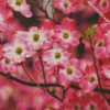 Pink Dogwood Plants diamond paintings