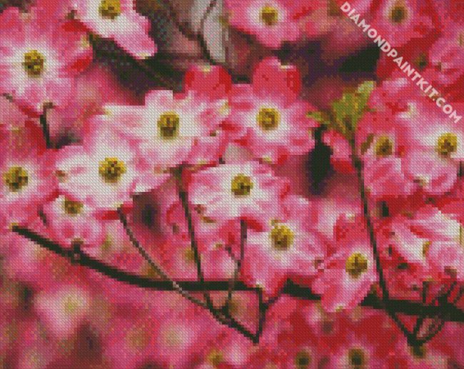 Pink Dogwood Plants diamond paintings