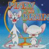 Pinky And Brain diamond paintings