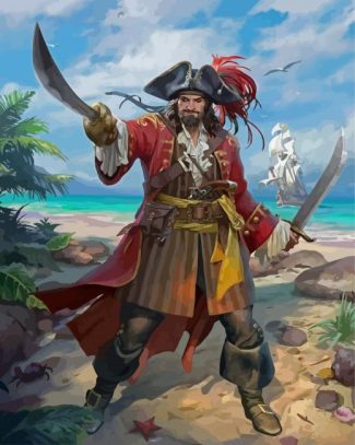 Pirate Man diamond painting