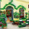 Plants Shop diamond painting