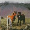 Pony Horses diamond painting