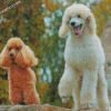 Poodles Dogs diamond paintings