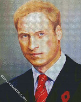 Prince William diamond painting