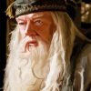 Professor Albus Dumbledore illustration diamond painting