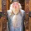 Professor Dumbledore diamond painting