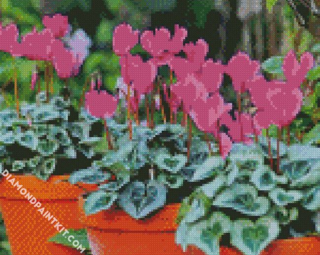 Purple cyclamen flowers diamond paintings