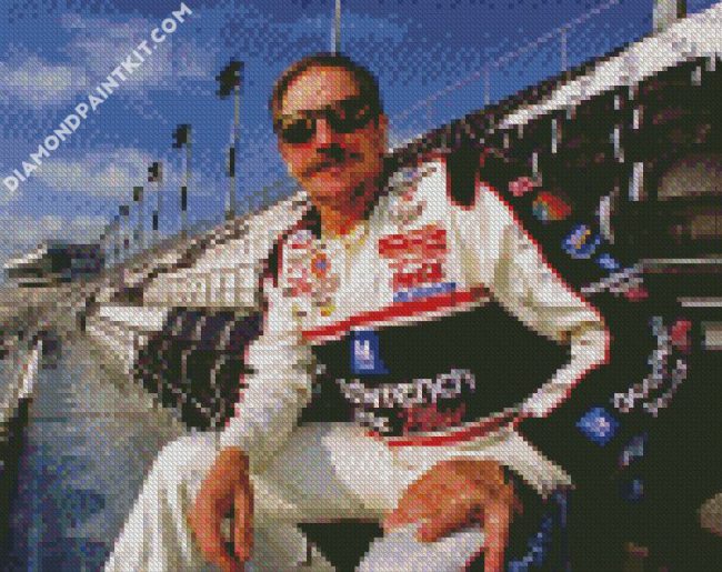 Ralph Dale Earnhardt Sr diamond paintings