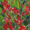 Red Dogwood Flowering Plant diamond paintings