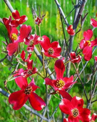 Red Dogwood Flowering Plant diamond painting