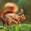 Red Squirrel On Branch diamond painting