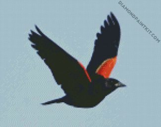 Red Winged Black Bird diamond painting