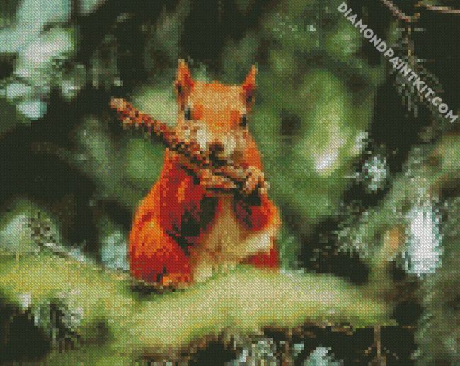 Red Squirrel diamond painting