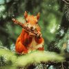 Red Squirrel diamond painting