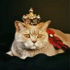 Royal Cat Pet diamond painting