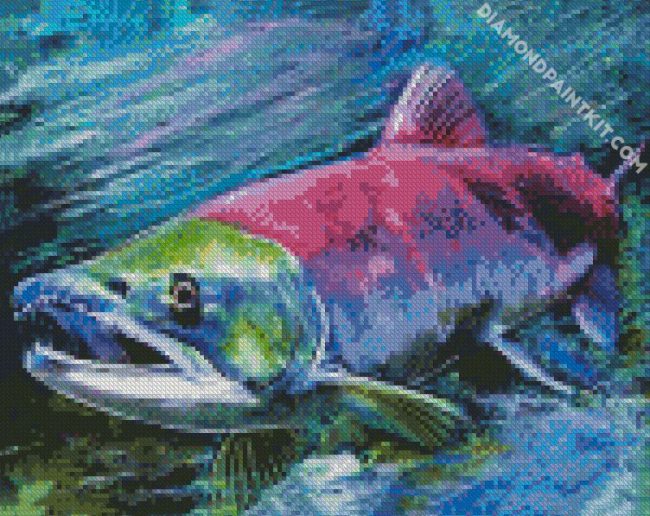 Salmon Fish diamond painting