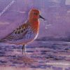 Sandpiper Bird Art diamond paintings