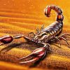 Scorpion Art diamond painting