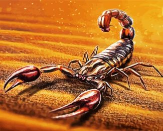 Scorpion Art diamond painting