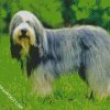 Sheepdog Animal diamond painting