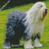 Sheepdog Puppy diamond painting