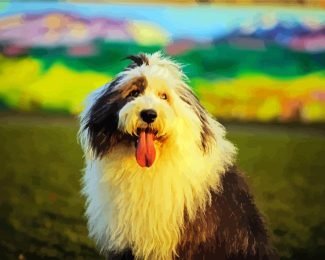 Sheepdog diamond painting