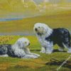 Sheepdogs Art diamond painting