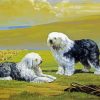 Sheepdogs Art diamond painting