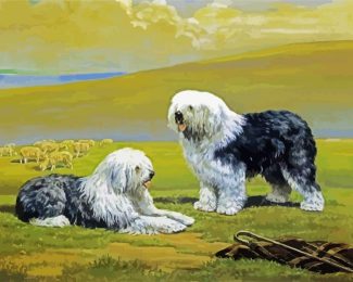 Sheepdogs Art diamond painting