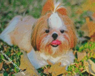 Shih Tzu Dog Animal diamond painting