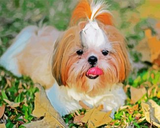 Shih Tzu Dog Animal diamond painting