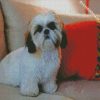 Shih Tzu Puppy Dog diamond painting