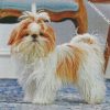 Shih Tzu Dog diamond painting