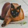 Siamese Cat Pet diamond painting