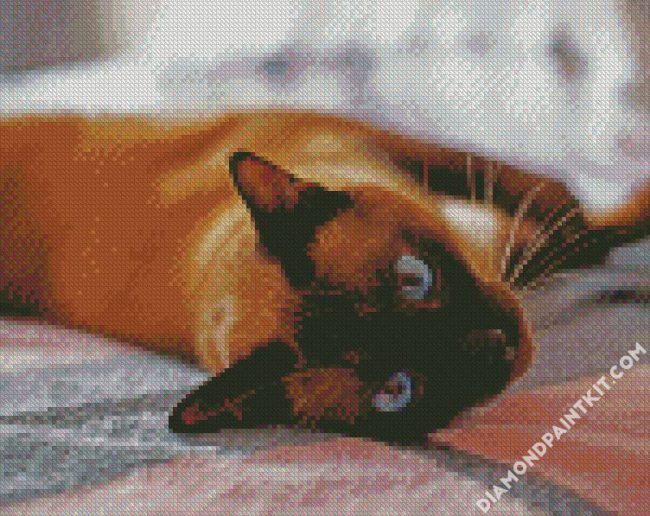 Siamese Cat diamond painting