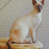 Siamese With Blue Eyes diamond painting