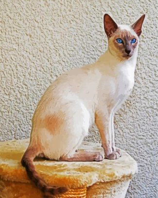 Siamese With Blue Eyes diamond painting