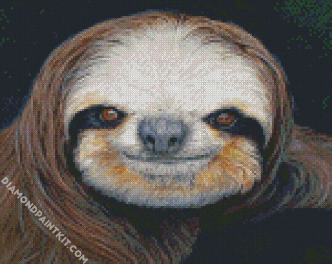 Sloth Face diamond painting