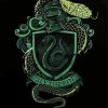 Slytherin Harry Potter diamond painting