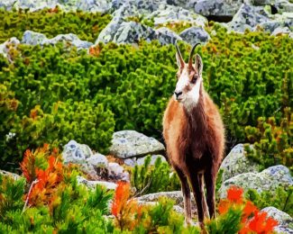 Tatra Chamois diamond painting