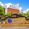 Tennesse Aquarium Chattanooga diamond painting